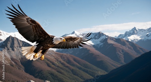 Eagle soaring over mountains 