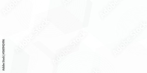 Abstract white and gray background. smooth abstract background, blurred pattern,  line shape decoration.