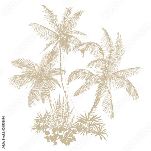 Tropical palm trees clipart. Hand drawn tropical illustration. Botanical sketch composition.