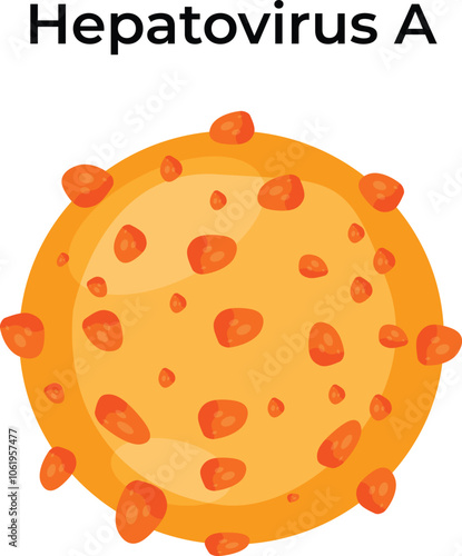 Hepatitis A virus Vector Illustration