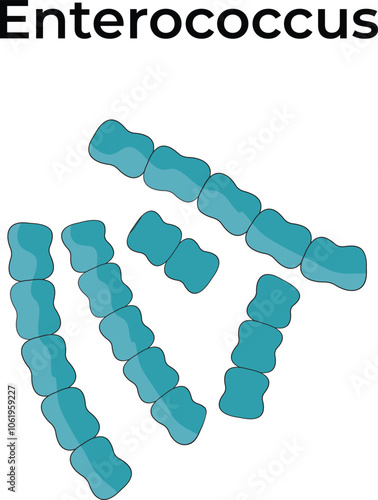Enterococcus Virus Science Vector Illustration