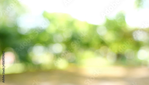 Fototapeta Naklejka Na Ścianę i Meble -  Blur background green park garden nature bright sunny forest. Blurry outdoor park in spring time glowing shinny day template with sunlight bokeh. Abstract blurred background banner copy space.