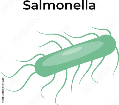 Salmonella Virus Science Vector Illustration