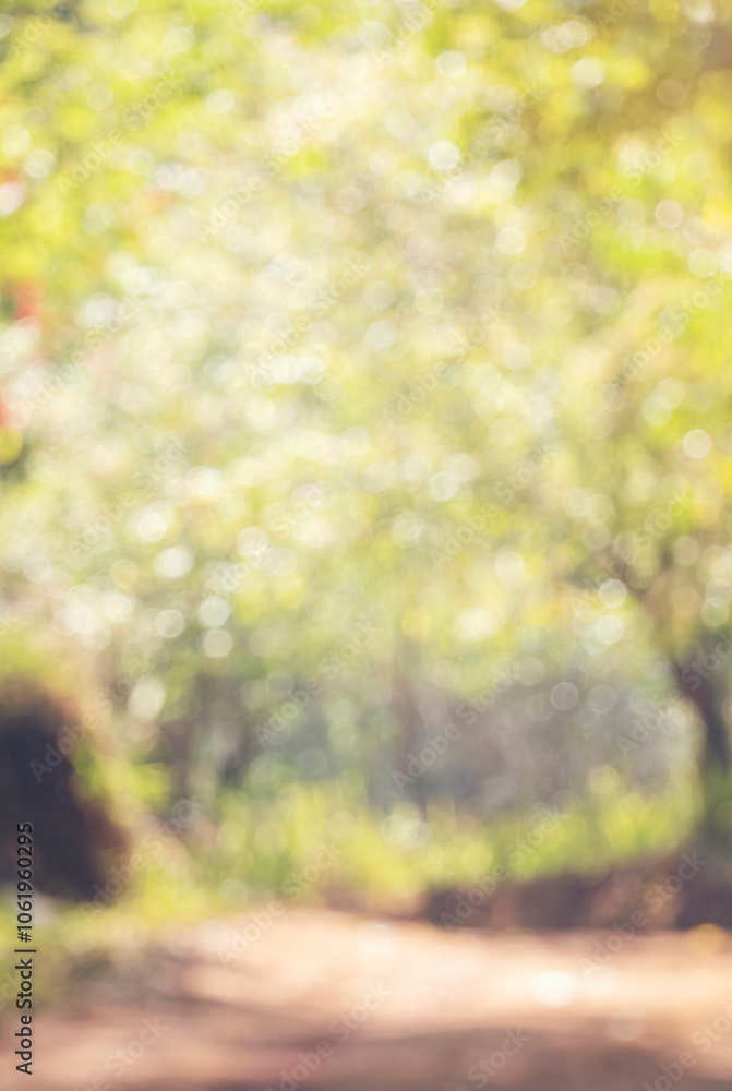 Vertical Horizon Blur background green park garden nature bright sunny forest. Blurry outdoor park spring time glow shinny day template sunlight bokeh. Vertical blurred background banner copy space Vertical Horizon Blur background green park garden nature bright sunny forest. Blurry outdoor park spring time glow shinny day template sunlight bokeh. Vertical blurred background banner copy space