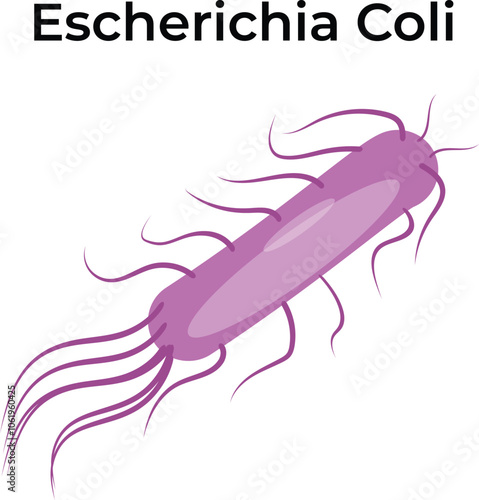 Escherichia coli Virus Vector Illustration