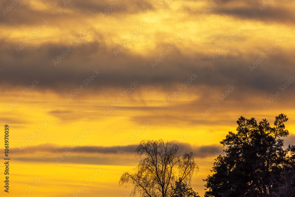 Golden sunset sky with dramatic clouds and silhouetted trees, capturing serene evening landscape in warm tones. Golden sunset sky with dramatic clouds and silhouetted trees, capturing serene evening landscape in warm tones.