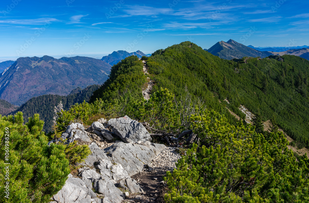 Fototapeta premium Die berühmte Winklmoos-Alm, Urlaub in den Bergen in Bayern: Wandergebiet in der Nähe von Reit im Winkl - Wanderung zum Gipfel Dürrnbachhorn 1776 Höhenmeter - Blick auf den Grat Richtung Osten