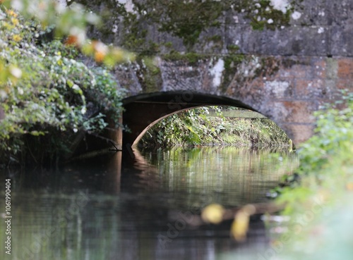 bridge over the river photo