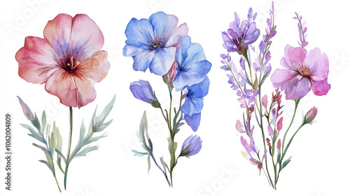 Watercolor flowers on white background, illustration of a vibrant watercolor painting featuring a set of different flowers.