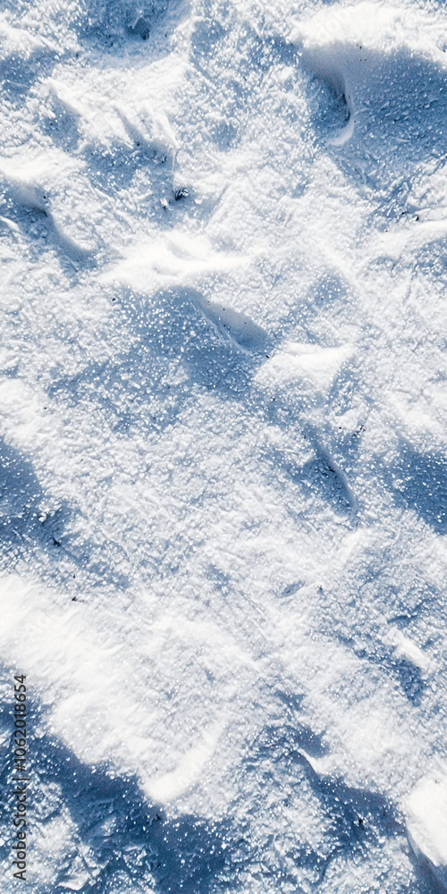 Obraz premium 눈내리는 풍경