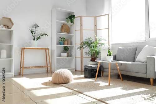 Interior of light living ro...