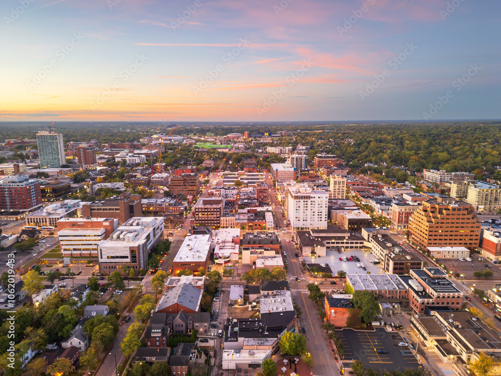 Ann Arbor, Michigan, USA College Town Skyline