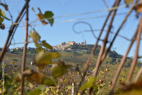 Vigneti