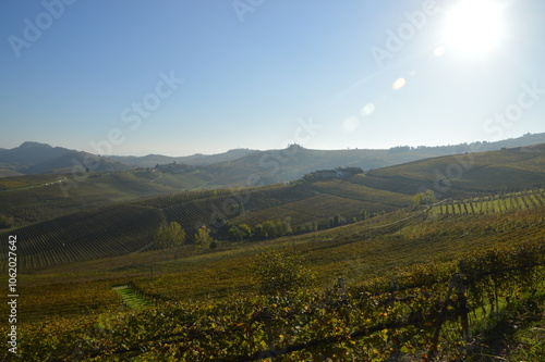 Vigneti