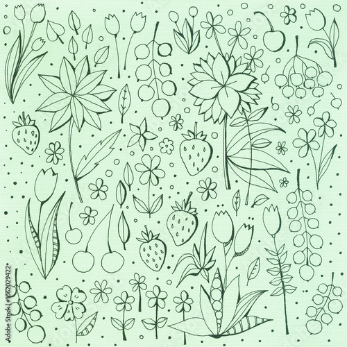 Flowers, leaves and berries, hand drawn with an outline on a light green back...