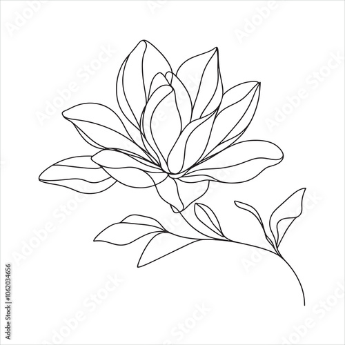 single one line Magnolia flowers line art silhouette on white background
