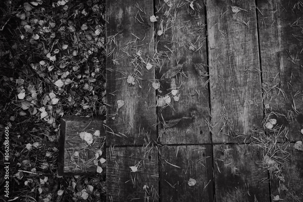 texture of wooden surface, brown fallen leaves and needles in autumn in black and white texture of wooden surface, brown fallen leaves and needles in autumn in black and white