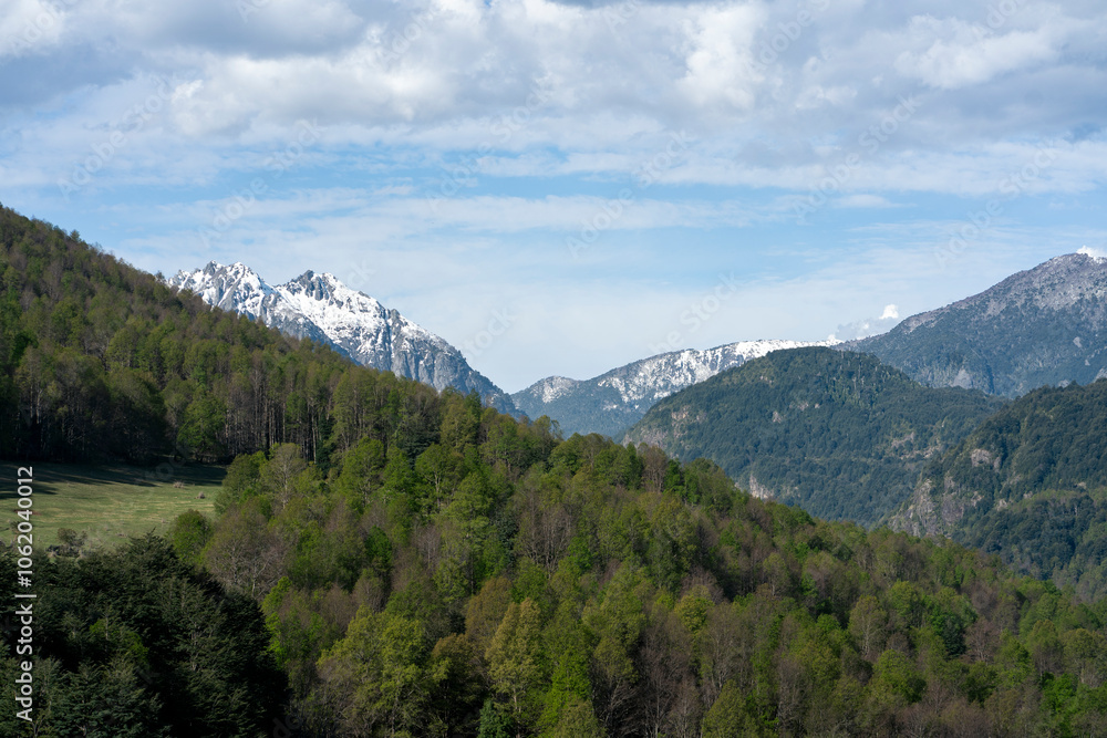 Stunning views of mountain range sticking out from thick green forest. Pucon, Chile Stunning views of mountain range sticking out from thick green forest. Pucon, Chile