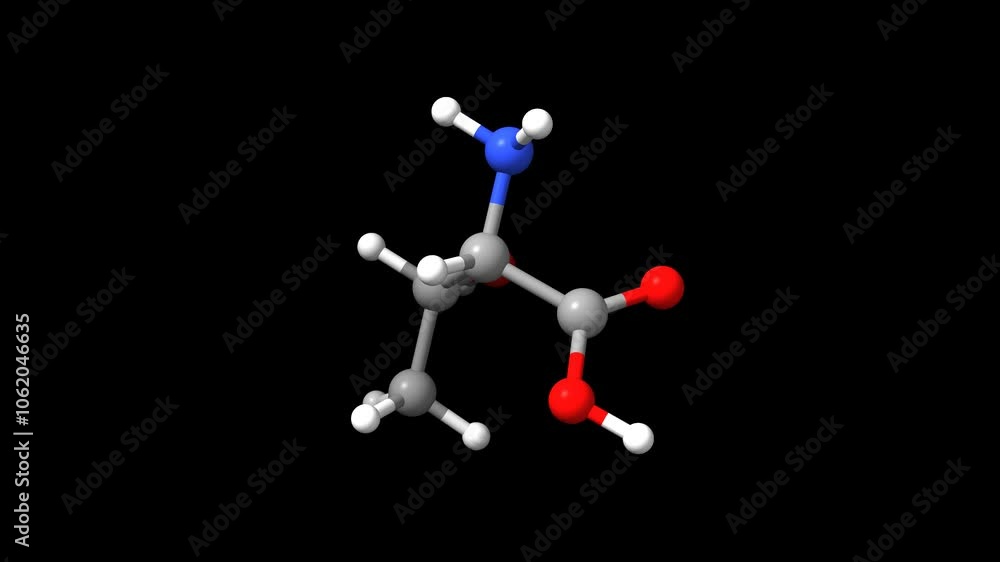 Structure of the amino acid DL-threonine. Animated 3D ball-and-stick and space-filled models, black background. Structure of the amino acid DL-threonine. Animated 3D ball-and-stick and space-filled models, black background.