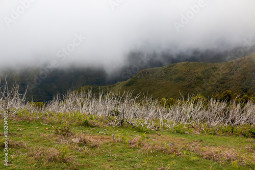 Mountains and clouds, Madeira, Portugal photo