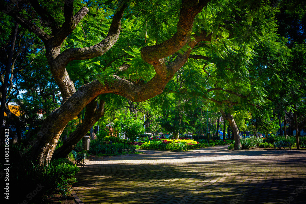 Sunrise in Polanco City Downtown Park in Mexico: A tranquil beauty of the ancient metropolis in the Valley of Mexico at an altitude of 7,350 ft Sunrise in Polanco City Downtown Park in Mexico: A tranquil beauty of the ancient metropolis in the Valley of Mexico at an altitude of 7,350 ft