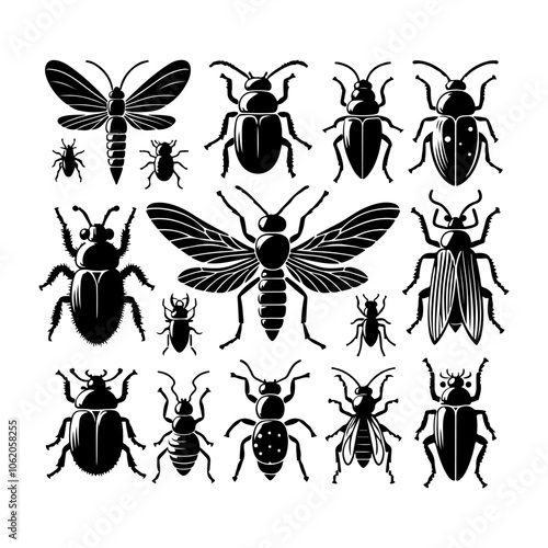 Insect icons silhouettes. Vector set of Insect silhouettes isolated on white background