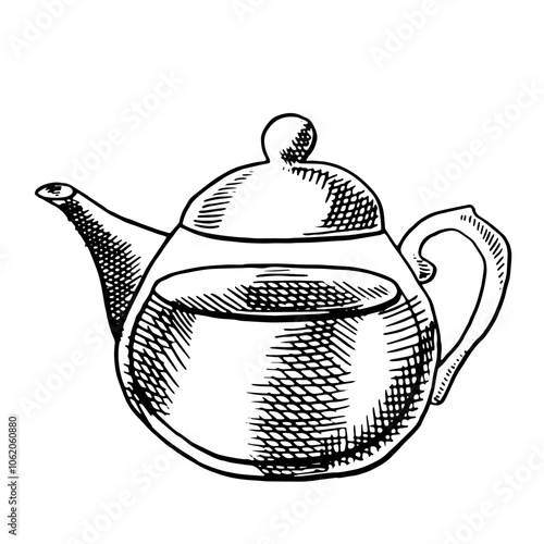 Teapot with hot tea hand drawn. Kettle ink Sketch drawing vector illustration. 