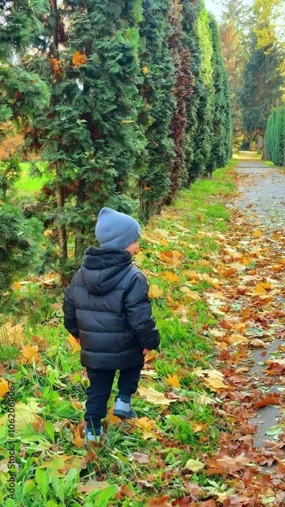 Unrecognized toddler boy in black jacket walks by the grass and fallen foliage. Kid picks orange and yellow leaves in autumn. Vertical video. Unrecognized toddler boy in black jacket walks by the grass and fallen foliage. Kid picks orange and yellow leaves in autumn. Vertical video.