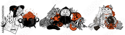 Vector set of 3 mystical cats for Halloween. A fortune-telling cat with a magic ball, a sorcerer cat with a boiling cauldron, a cat in a hood with pumpkins