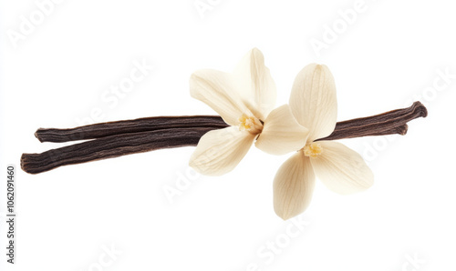 Fresh vanilla pods and flowers arranged elegantly on a white background