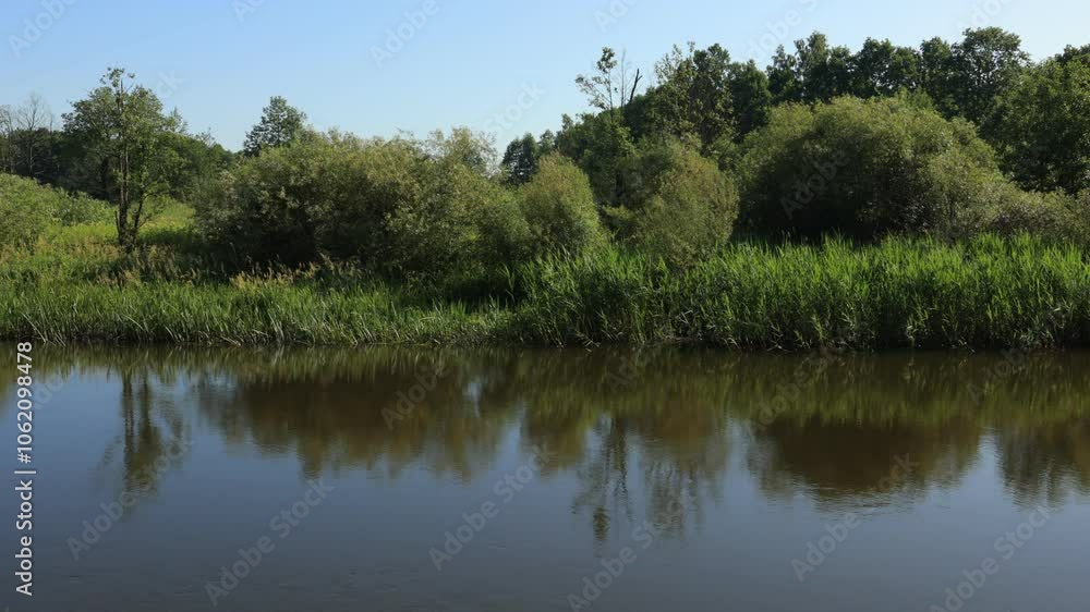View on a summer landscape Lake and river, park and forest. View on a summer landscape Lake and river, park and forest.
