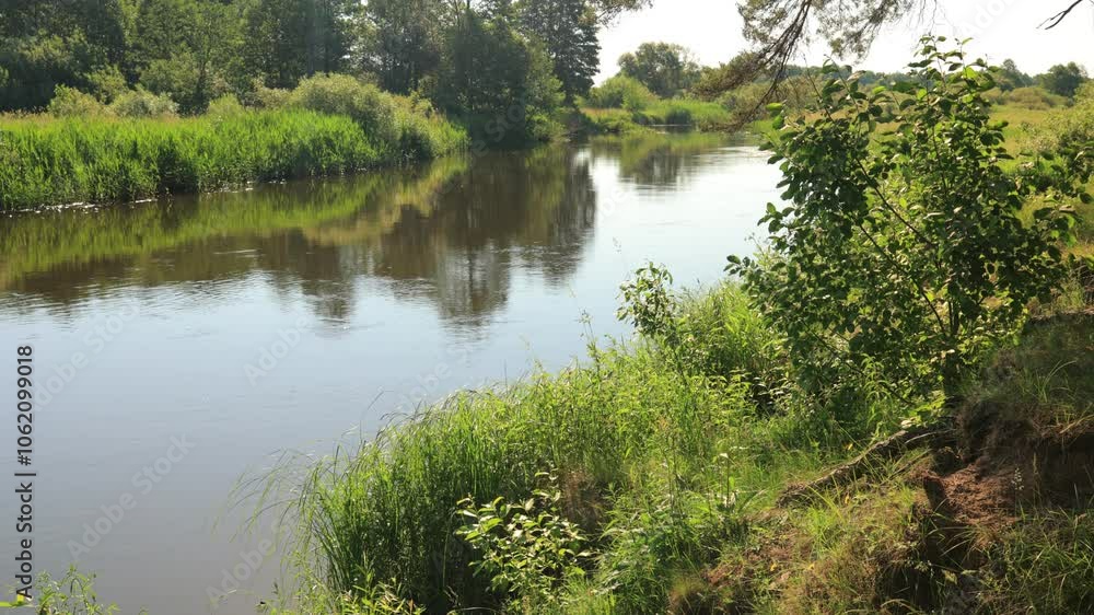 View on a summer landscape Lake and river, park and forest. View on a summer landscape Lake and river, park and forest.