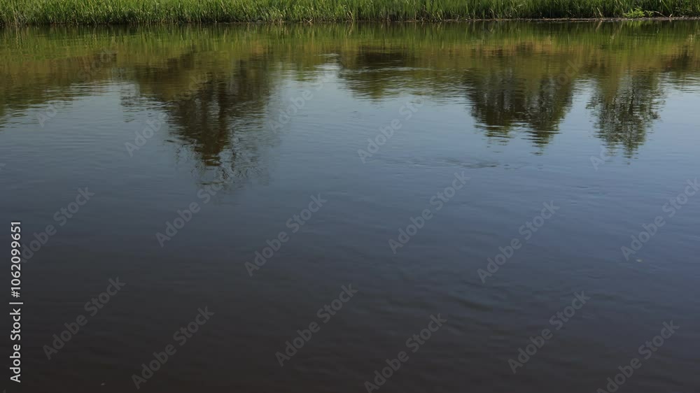 View on a summer landscape Lake and river, park and forest. View on a summer landscape Lake and river, park and forest.