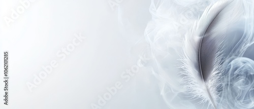  Close-up of a pristine white feather against a blue and white backdrop Softly blurred feather image in the background
