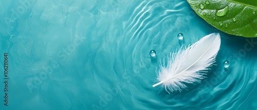  A white feather floats atop a tranquil blue body of water Nearby, a green leaf is speckled with droplets