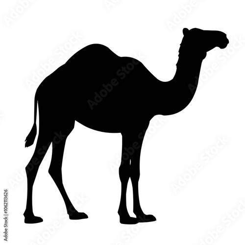 Silhouette of a camel | Illustration Vector | Black on white | Isolated