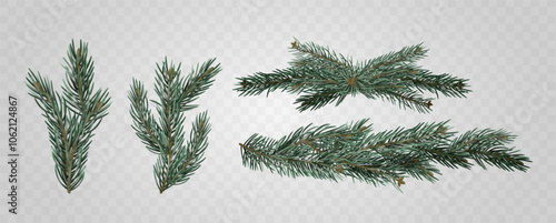 Realistic 3d Fir Tree Branches Displayed On A Transparent Background, Ideal For Holiday And Winter Designs