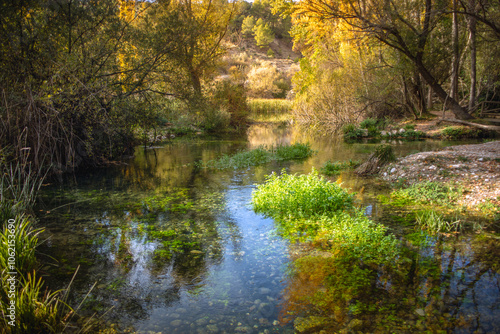 View of the reflection of the trees in autumn on the river, in the Enchanted Forest of Fig Trees in Pozo Alcon, Jaen, Andalucia, Spain