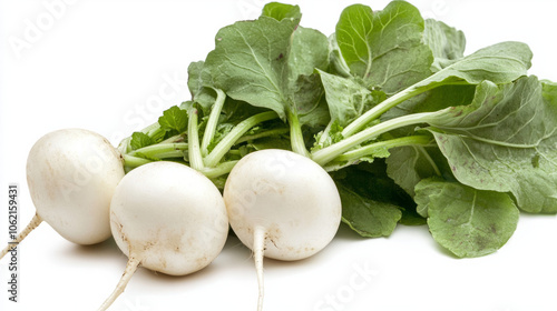 Fresh white radishes with green leaves displayed against a plain background