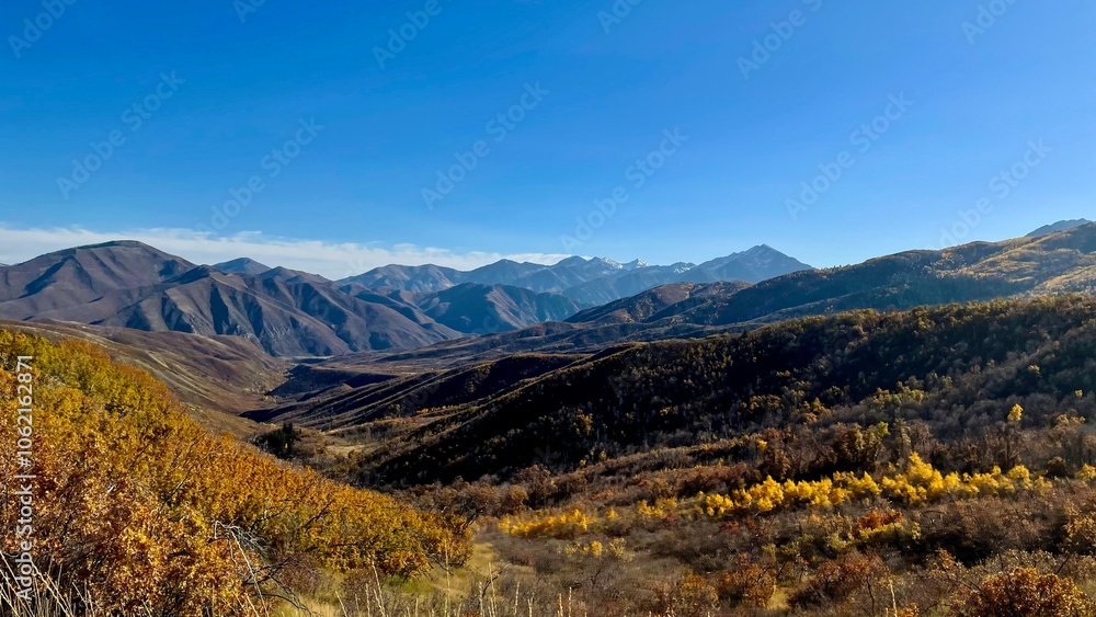 Fototapeta premium landscape in the mountains