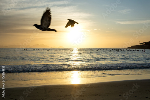 Birds and paddle boarders at the Copacabana Beach in Rio de Janeiro in Brazil at sunrise photo