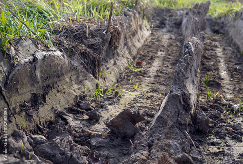 Wallpaper Mural Ruts in the mud. We see a tire pattern imprinted in the dirt. Torontodigital.ca