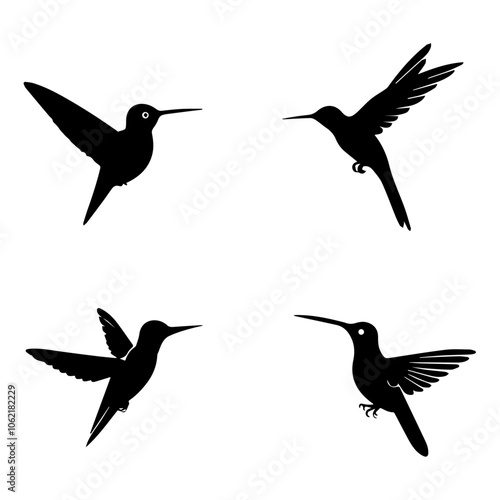 Set of hummingbird silhouettes on transparent background