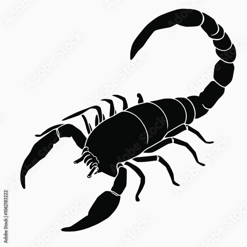 a black and white illustration of a scorpion