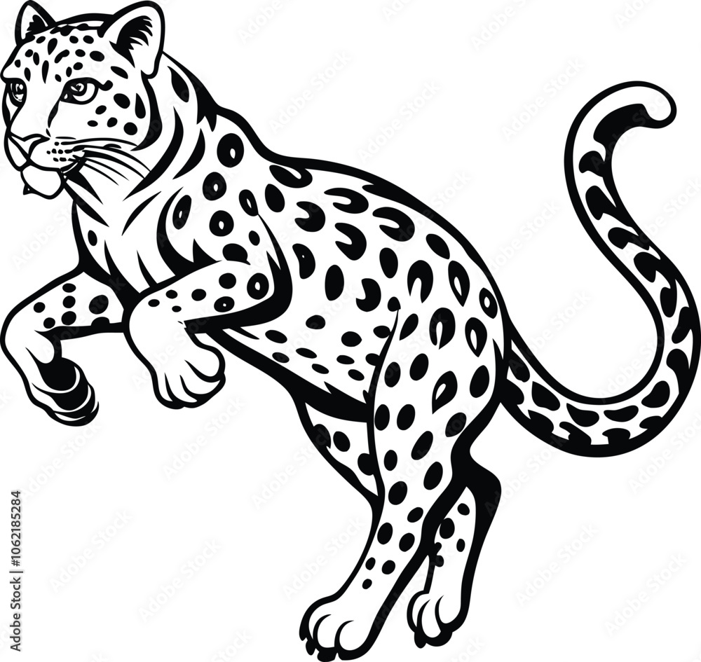 snow leopard jump on white background snow leopard jump on white background