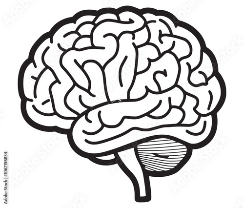 Human brain illustration, Hand drawn brain drawing illustration. Human brain icon