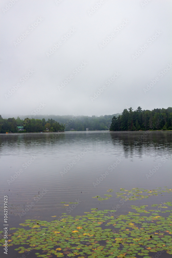 Fototapeta premium Serene Foggy Lake With Calm Water and Trees