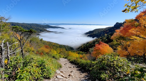 Breathtaking Fog Over Rolling Mountain Landscape