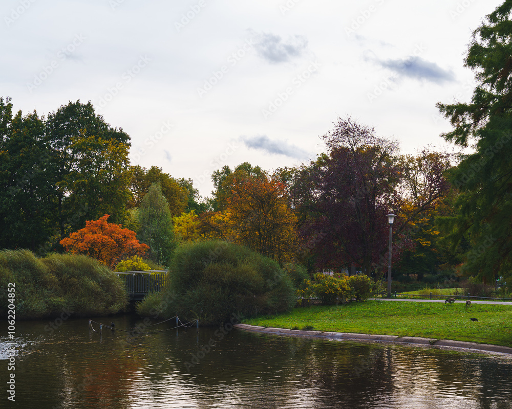 autumn in the park