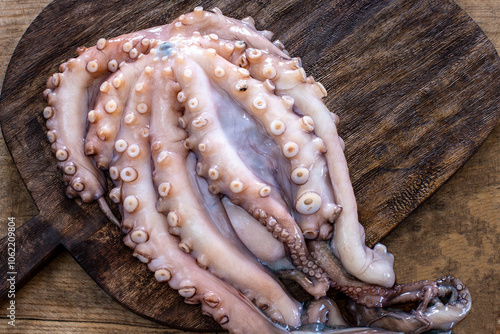 Whole raw octopus on cutting board with legs , tentacles and head.